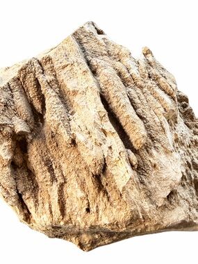 Natural Rough Petrified Wood New Mexico Tan Specimen Gold Quartz UV 5”x4” 1.2 lb